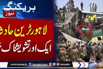 viral video news