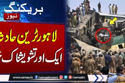 viral video news
